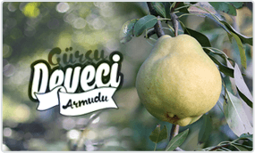 Gürsu Deveci Armudu