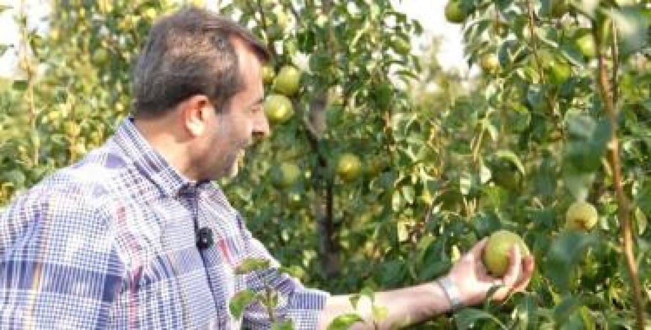 Gürsu Tarım