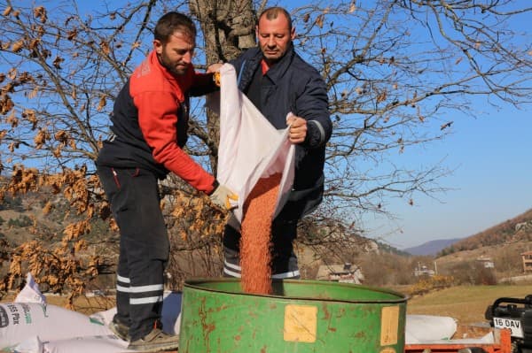 Gürsu’nun Verimli Ovasında İlk Buğday Ekimi fotoğraf 6