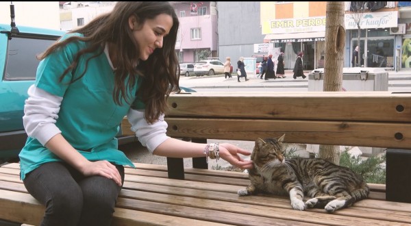 Gürsu’nun Tatlı ‘Serseri’si fotoğraf 2