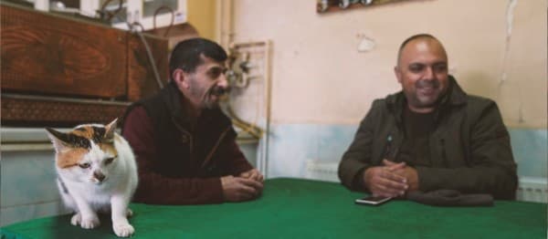 Gürsu’nun Tatlı ve Sempatik Kedisi ’Karahıdır’ fotoğraf 2