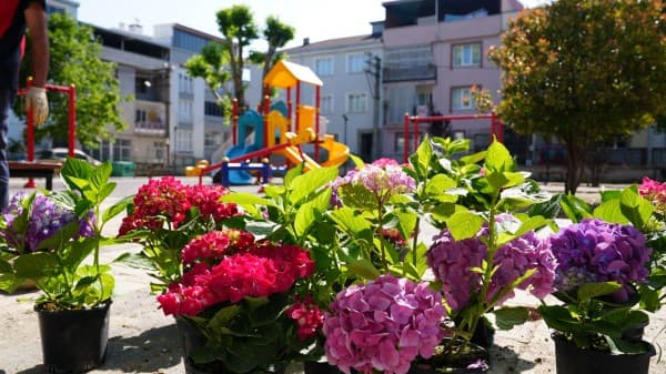 Gürsu’nun Parkları Yaza Hazır fotoğraf 6
