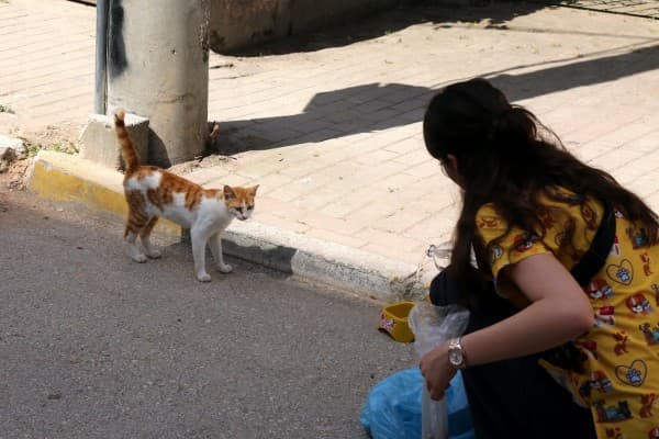 Gürsu’da Can Dostları Unutulmadı fotoğraf 2