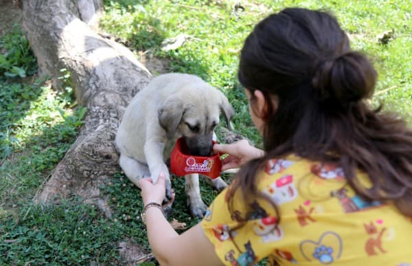 Gürsu’da Can Dostları Unutulmadı fotoğraf 7