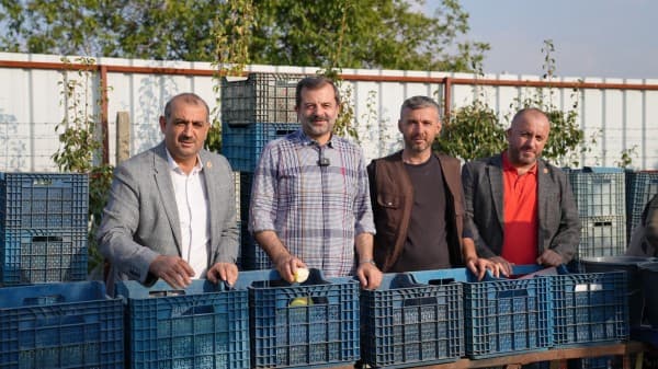 Başkan Işık Deveci Armudu Hasadına Katıldı fotoğraf 8