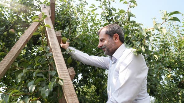Gürsu Armudunu Faydalı Böcekler Koruyor fotoğraf 1
