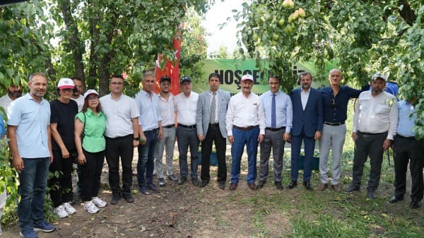 Gürsu Armudunu Faydalı Böcekler Koruyor fotoğraf 7