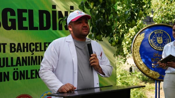 Gürsu Armudunu Faydalı Böcekler Koruyor fotoğraf 8