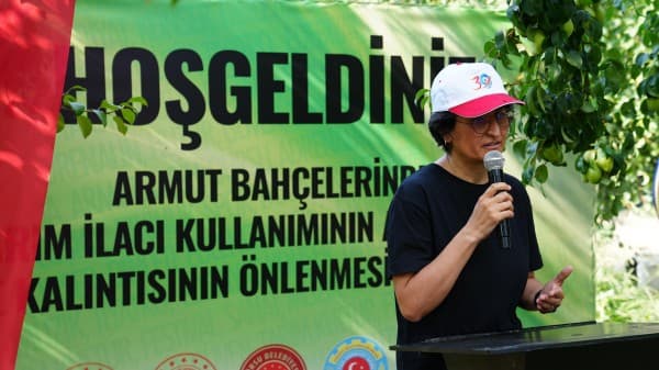 Gürsu Armudunu Faydalı Böcekler Koruyor fotoğraf 16