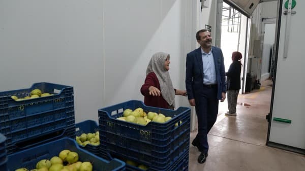 Hayriye Teyze Gürsu Armudu İle Girişimci Oldu fotoğraf 1