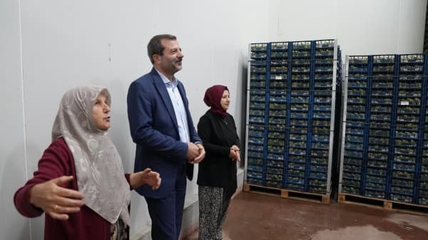 Hayriye Teyze Gürsu Armudu İle Girişimci Oldu fotoğraf 3