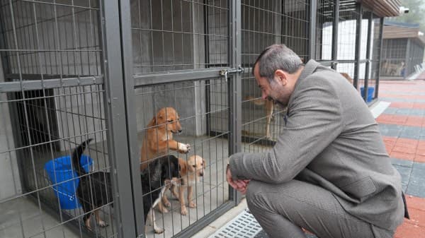 Gürsu’nun Ödüllü Bakım Merkezi Bir Yaşında fotoğraf 3