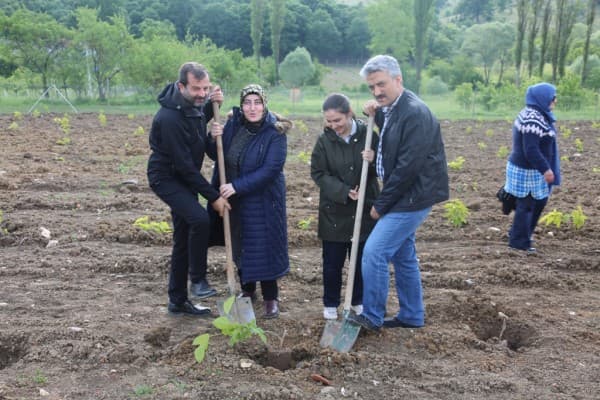 GÜRSU’DA İPEK YOLU’NDA İPEK BÖCEĞİ YETİŞTİRİCİLİĞİ fotoğraf 1
