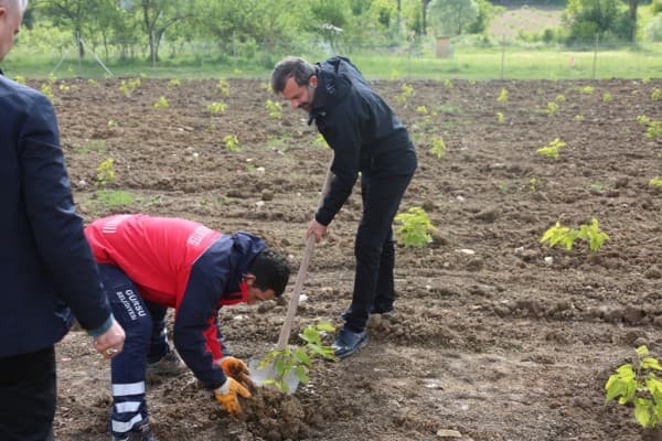 GÜRSU’DA İPEK YOLU’NDA İPEK BÖCEĞİ YETİŞTİRİCİLİĞİ fotoğraf 5