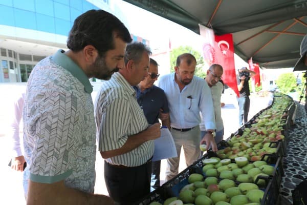Gürsu’da Renkli Festival fotoğraf 1