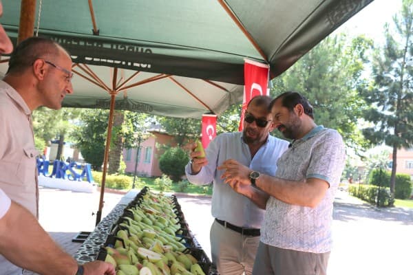 Gürsu’da Renkli Festival fotoğraf 2