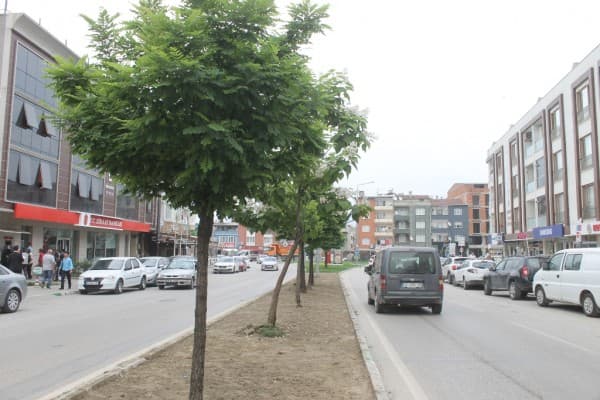 GÜRSU’NUN VİTRİNİNE YAZ IŞILTISI fotoğraf 7