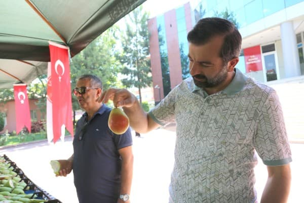 Gürsu’da Renkli Festival fotoğraf 4