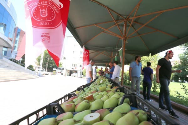 Gürsu’da Renkli Festival fotoğraf 5