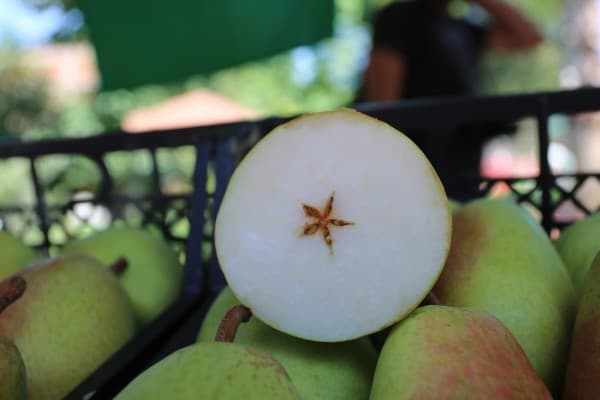Gürsu’da Renkli Festival fotoğraf 8