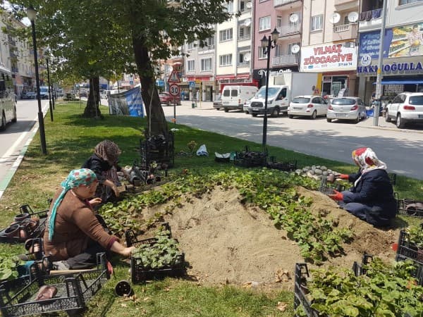 GÜRSU’NUN CADDELERİ ÇİÇEKLERLE RENKLENİYOR fotoğraf 2