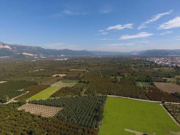GÜRSU, AB HİBE PROJELERİYLE KALKINIYOR fotoğraf 1