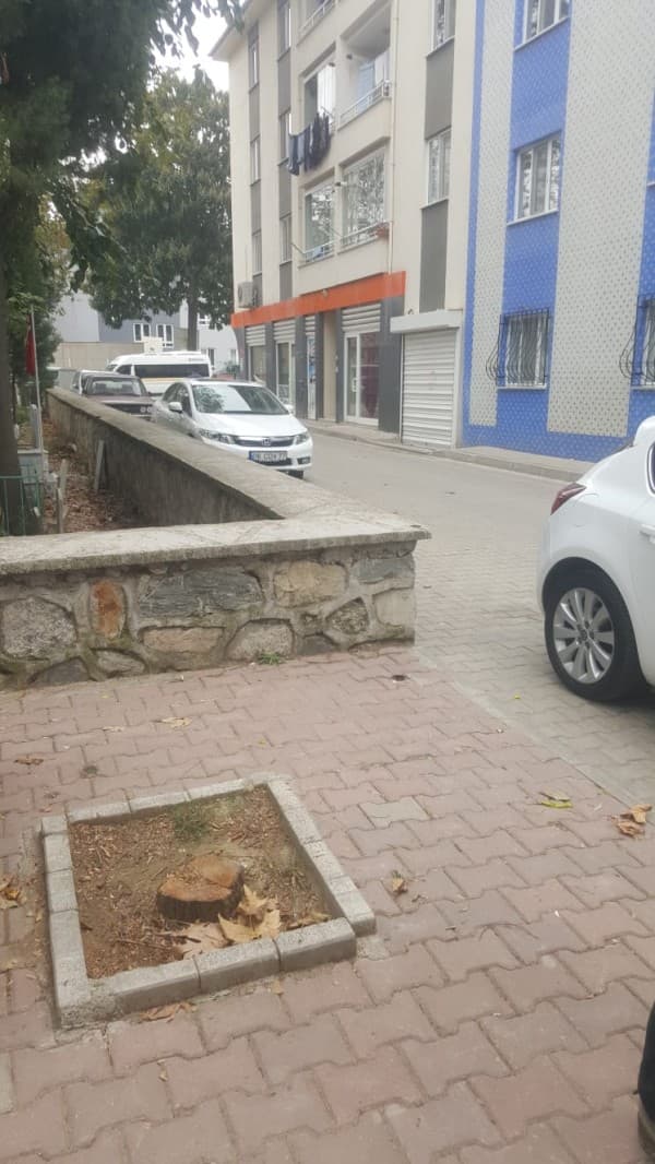 BAŞKAN MUSTAFA IŞIK, GÜRSU’MUZU NAKIŞ GİBİ İŞLİYORUZ. fotoğraf 2