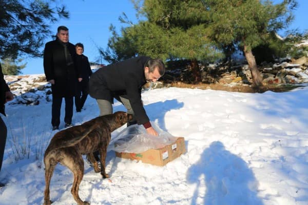 BAŞKAN MUSTAFA IŞIK, “SOKAK HAYVANLARININ YAŞAM İHTİYAÇLARINI KARŞILAMAK BİR İNSANLIK GÖREVİ” fotoğraf 2