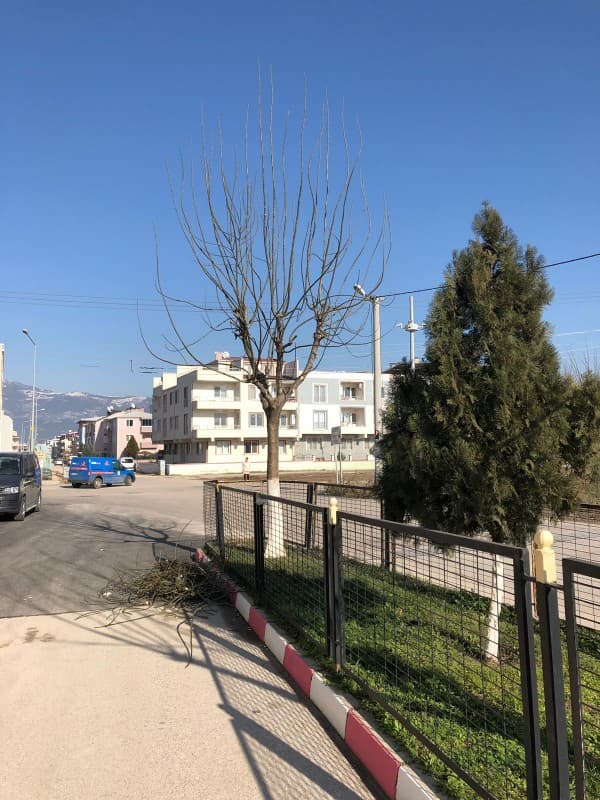 GÜRSU’NUN GÖRSELLİĞİ KORUNUYOR fotoğraf 4