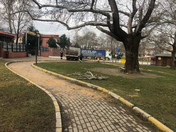 GÜRSU’NUN GÖRSELLİĞİ KORUNUYOR fotoğraf 14