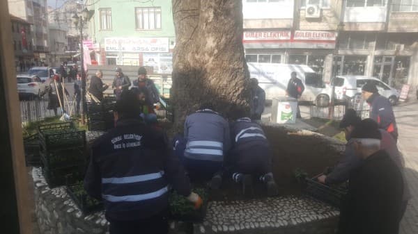 GÜRSU’NUN PARKLARI VE CADDELERİ ÇİÇEK AÇIYOR fotoğraf 2
