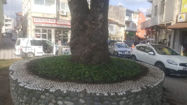 GÜRSU’NUN PARKLARI VE CADDELERİ ÇİÇEK AÇIYOR fotoğraf 3