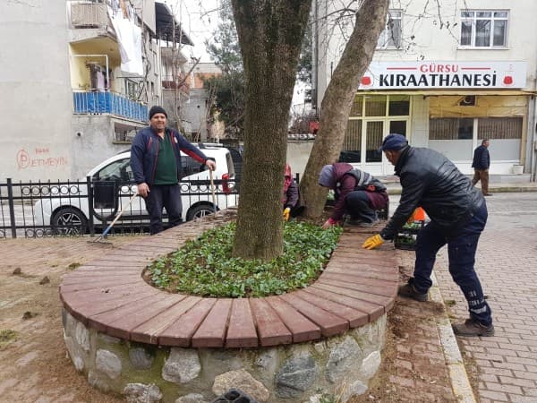 GÜRSU’NUN PARKLARI VE CADDELERİ ÇİÇEK AÇIYOR fotoğraf 4