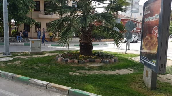 GÜRSU’NUN CADDE VE MEYDANLARINA YAZ FERAHLIĞI fotoğraf 8