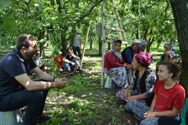 GÜRSU ARMUDUNUN İLK HASADI BAŞKANDAN fotoğraf 7