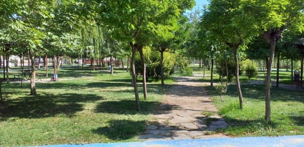 BAŞKAN MUSTAFA IŞIK : “ŞEHRİMİZDE YEŞİLİN HUZURUNU SAĞLAMAYA ÇALIŞIYORUZ” fotoğraf 9