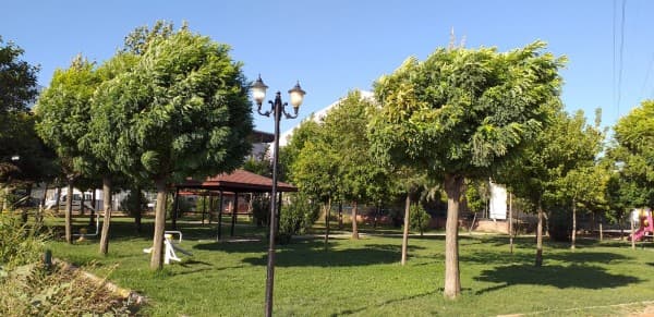 BAŞKAN MUSTAFA IŞIK : “ŞEHRİMİZDE YEŞİLİN HUZURUNU SAĞLAMAYA ÇALIŞIYORUZ” fotoğraf 12