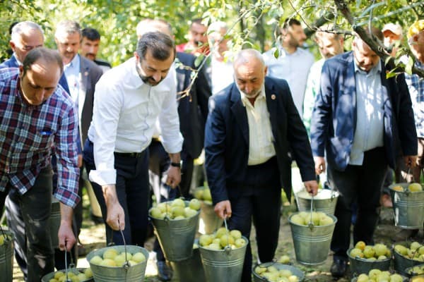 “BİZİM ELİMİZ ARMUT TOPLUYOR” fotoğraf 7