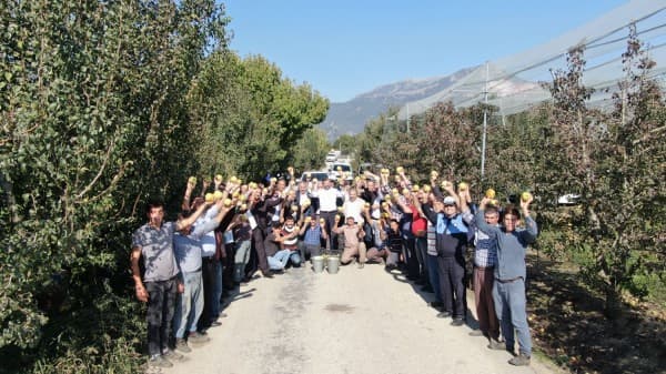 “BİZİM ELİMİZ ARMUT TOPLUYOR” fotoğraf 13
