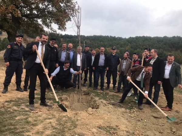 FİDANLAR GÜRSU’NUN GELECEĞİNDE NEFES OLACAK fotoğraf 3