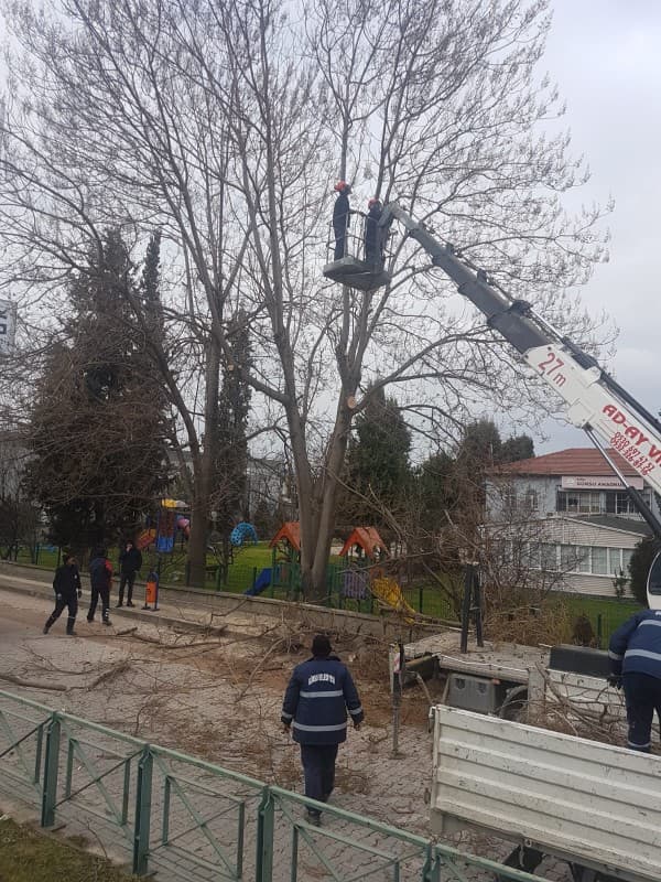 GÜRSU BELEDİYESİ KAMU KURUMLARINA BAKIM HİZMETİ SUNUYOR fotoğraf 3