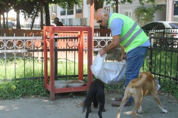 BAŞKAN MUSTAFA IŞIK : “CAN DOSTLARIMIZIN YAŞAM HAKLARINI KORUYORUZ” fotoğraf 2