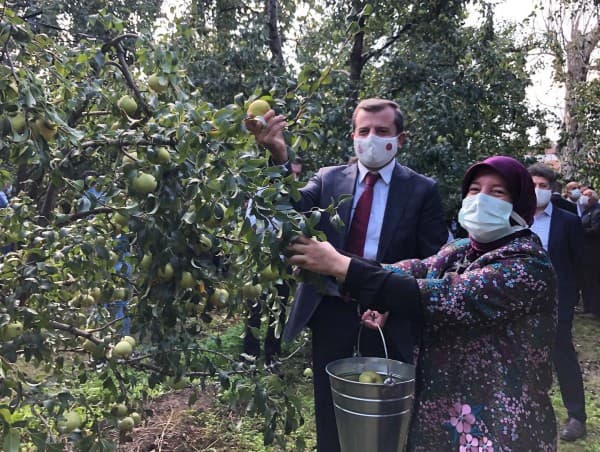 DEVECİ ARMUDUNUN HASAT BEREKETİ PAYLAŞILDI fotoğraf 6