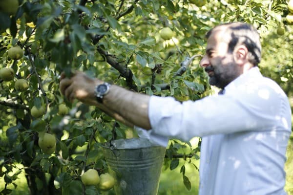 GÜRSU ARMUDU MARKALAŞIYOR fotoğraf 2