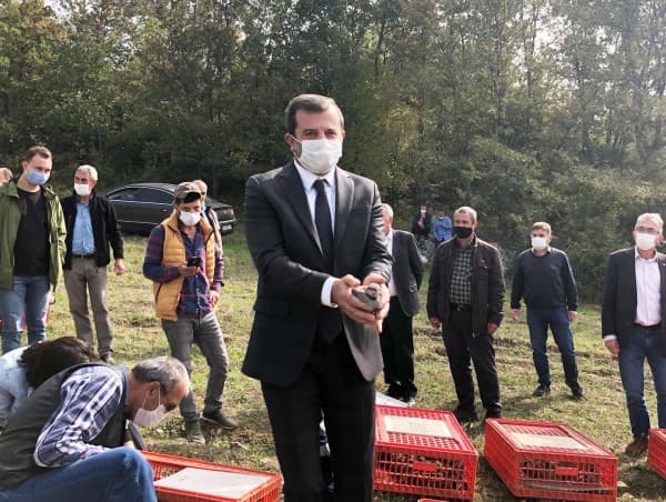 GÜRSU’DA KEKLİK POPÜLASYONU ARTTIRILIYOR fotoğraf 1