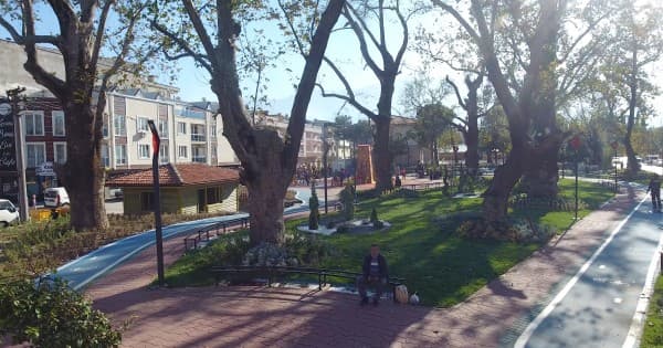 MİLLET BAHÇESİ fotoğraf 15