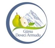 GÜRSUDA DEVECİ ARMUDU fotoğraf 1