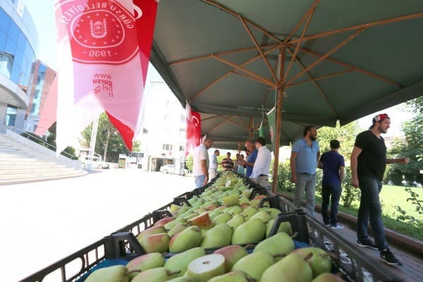 GÜRSU’DA ARMUT FESTİVALİ fotoğraf 2