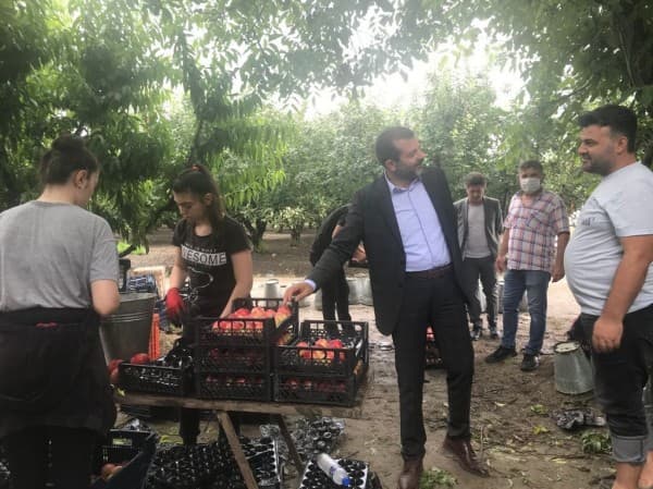 GÜRSU DA MEYVECİLİK fotoğraf 1