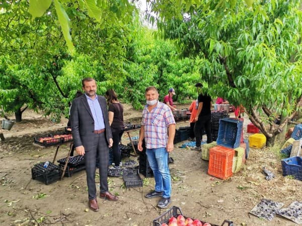 GÜRSU DA MEYVECİLİK fotoğraf 3